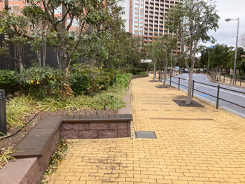 Foto de 芝浦アイランド グローヴタワー周辺の植え込み 4