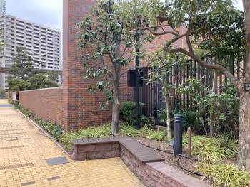 Foto de 芝浦アイランド グローヴタワー周辺の植え込み 2