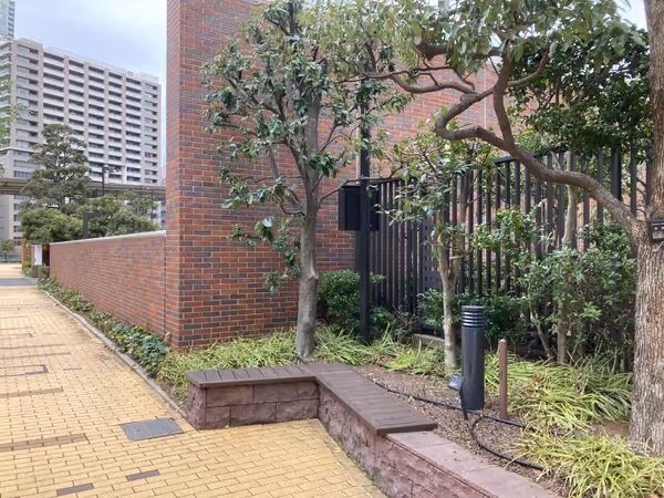 芝浦アイランド グローヴタワー周辺の植え込みの写真2