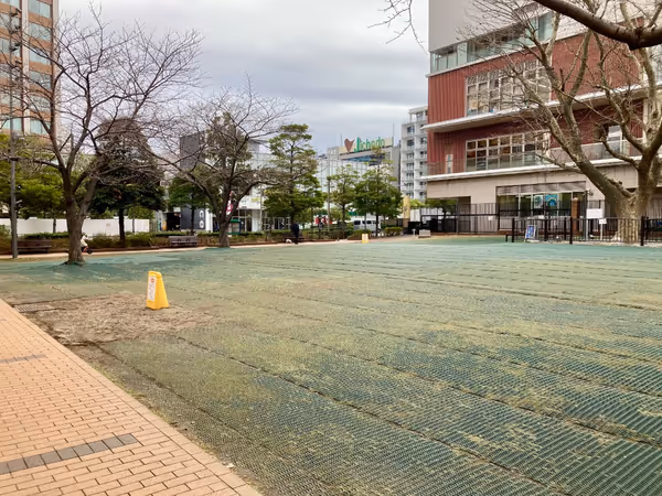 芝浦 プラタナス公園の写真3