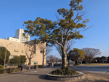 久岐の浜広場の画像2
