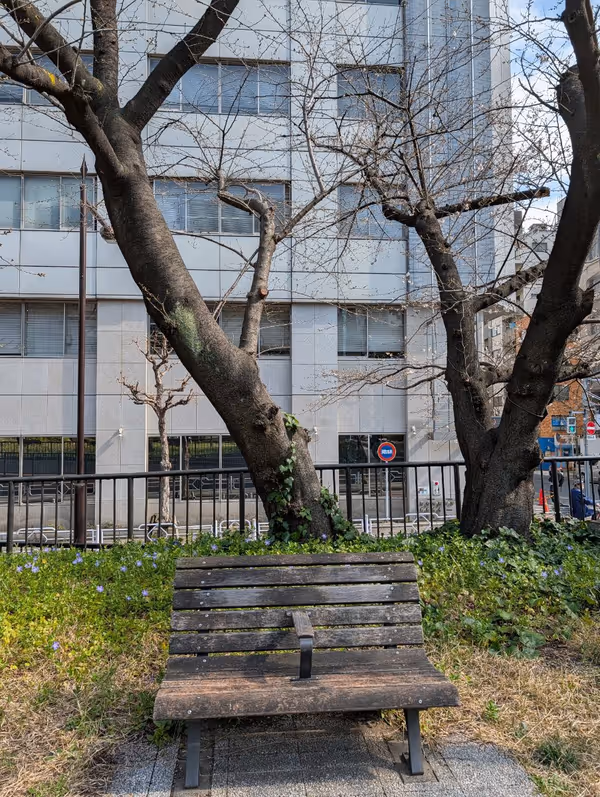 築地川亀井橋公園の写真5