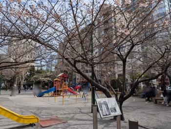 京橋公園の写真3