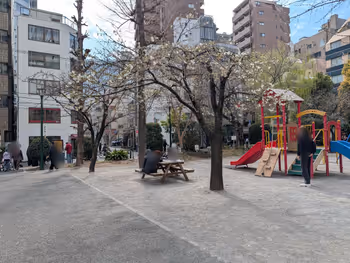 京橋公園の写真2