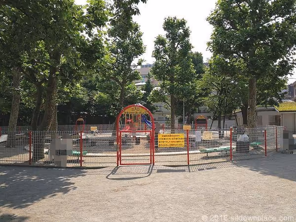 精華公園の写真2