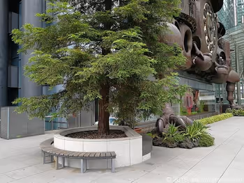 미야자키 하야오가 디자인한 닛테레 대시계 근처의 나무 벤치