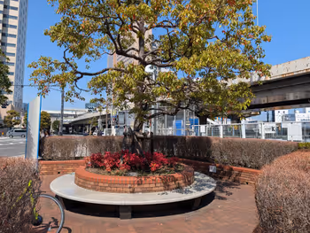 第8公園の写真4