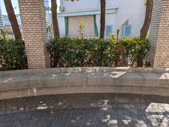 第1公園の写真2