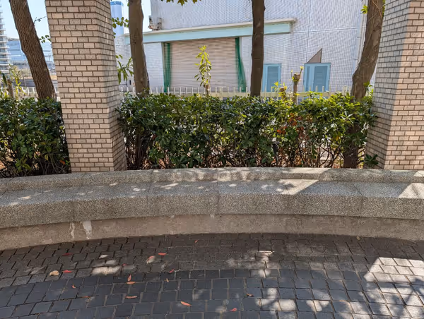 第1公園の写真2