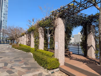 水辺の広場の写真1