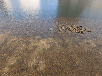 水辺の広場の写真7