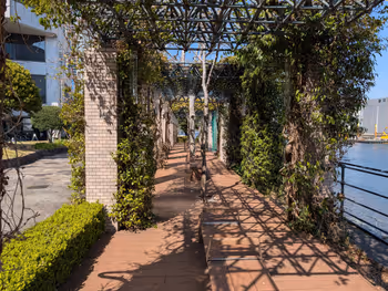 水辺の広場の写真2