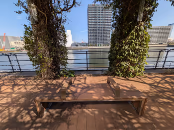 水辺の広場の写真3