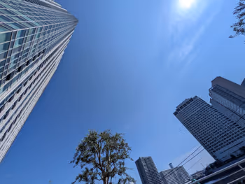 港南四丁目緑地の写真5