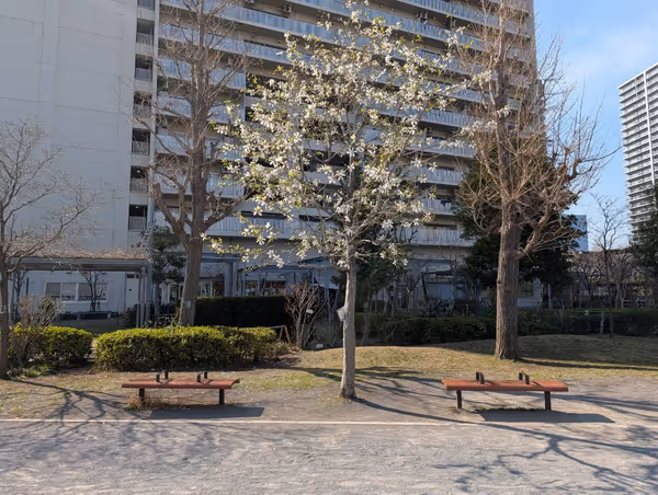 港南和楽公園の写真3