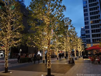 秋葉原UDX2Fアキバスクエア前のイルミネーション