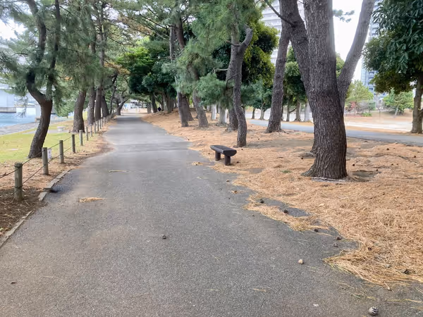 台場公園へと続く遊歩道の写真4