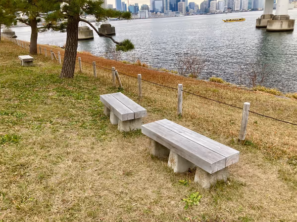 台場公園の写真5