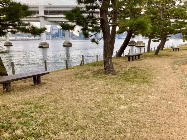 台場公園の写真3