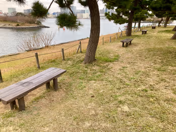 台場公園の写真2