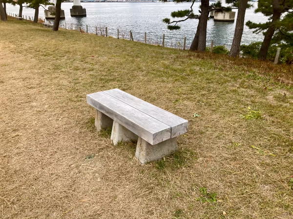 台場公園の写真4