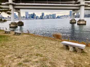 台場公園の写真7