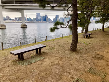 台場公園の写真6