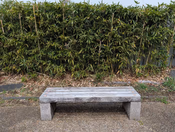 ロカ・スクエアの写真4