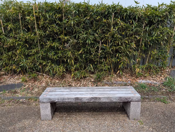 ロカ・スクエアの写真4