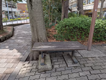 千歳通り ウテナ付近の写真2