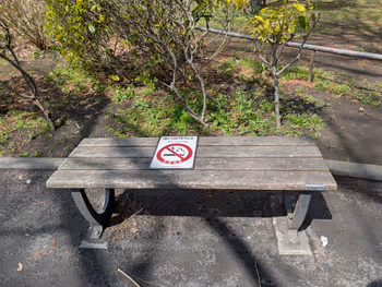 泉橋公園の写真2