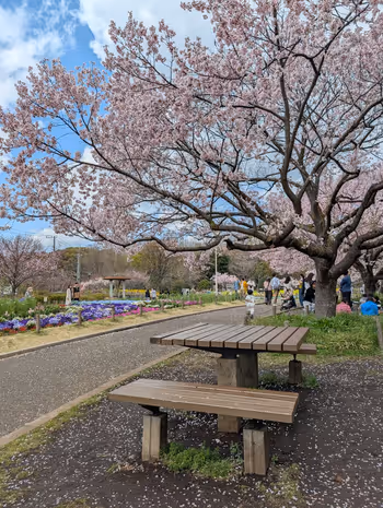 蘆花恒春園の写真1
