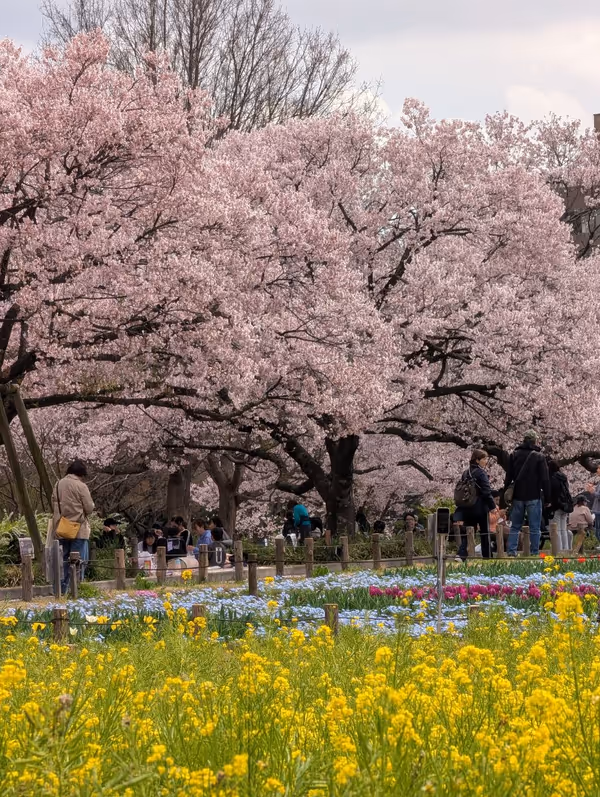蘆花恒春園の写真3