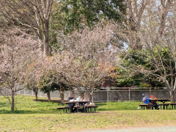 蘆花恒春園の写真8