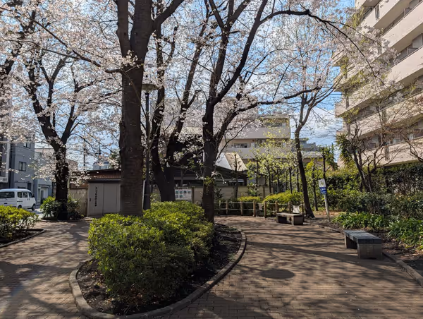 烏山下宿広場の写真1