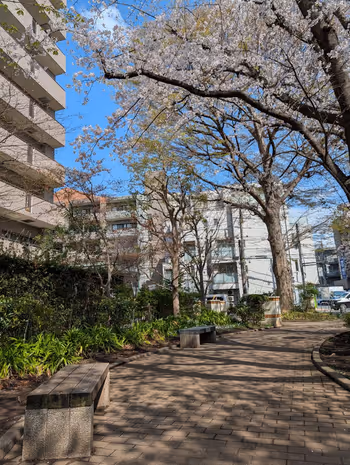 烏山下宿広場の写真2