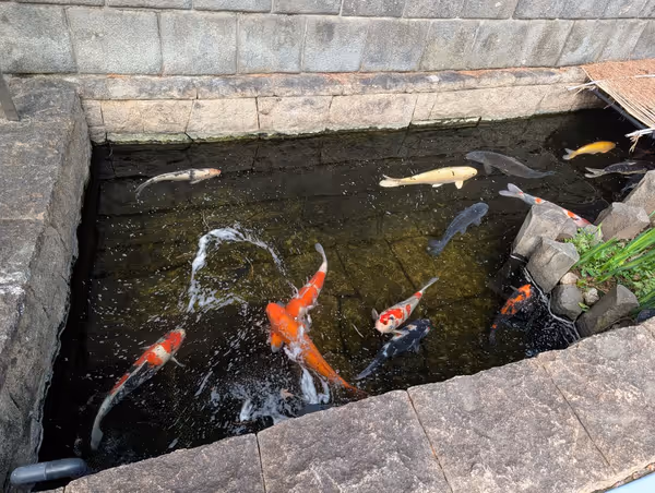 世田谷文学館前の写真4